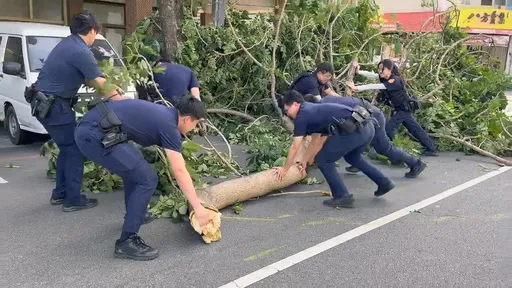 薔琵颱風未到外圍環流先發威　台中路樹被吹倒！警合力排除