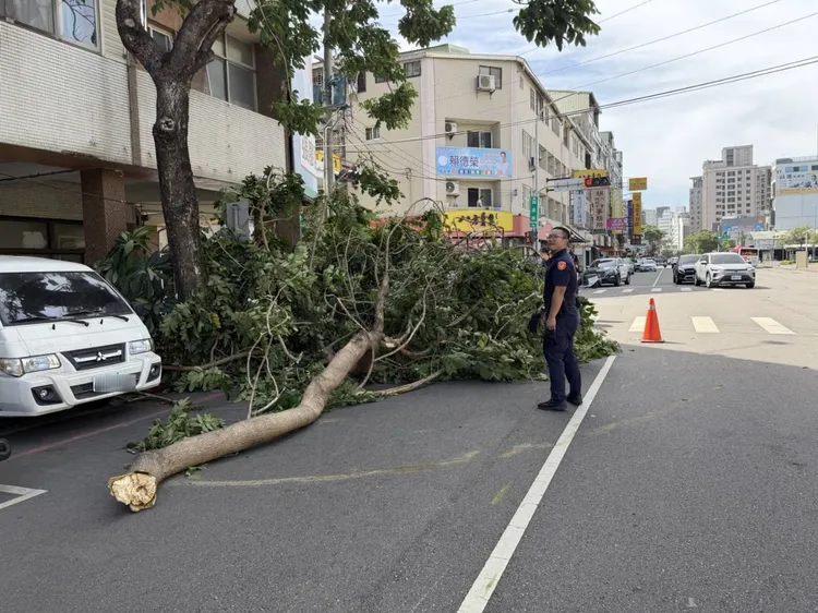 西屯區路樹倒塌。民眾提供