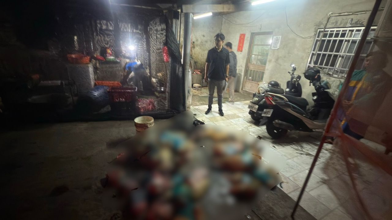 颱風天也要查!動保團體追狗肉供應鍊 彰化鹿港揪出屠宰據點