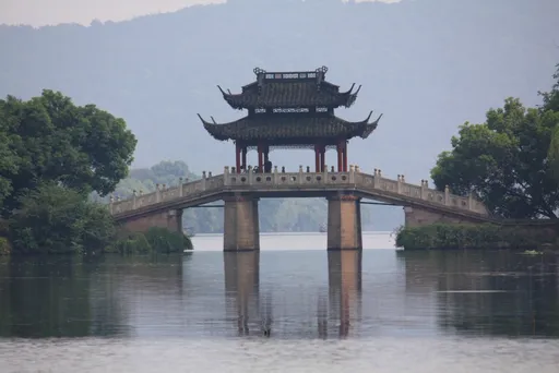 蛤？這城市白天不准遛狗！違規秒噴4800元
