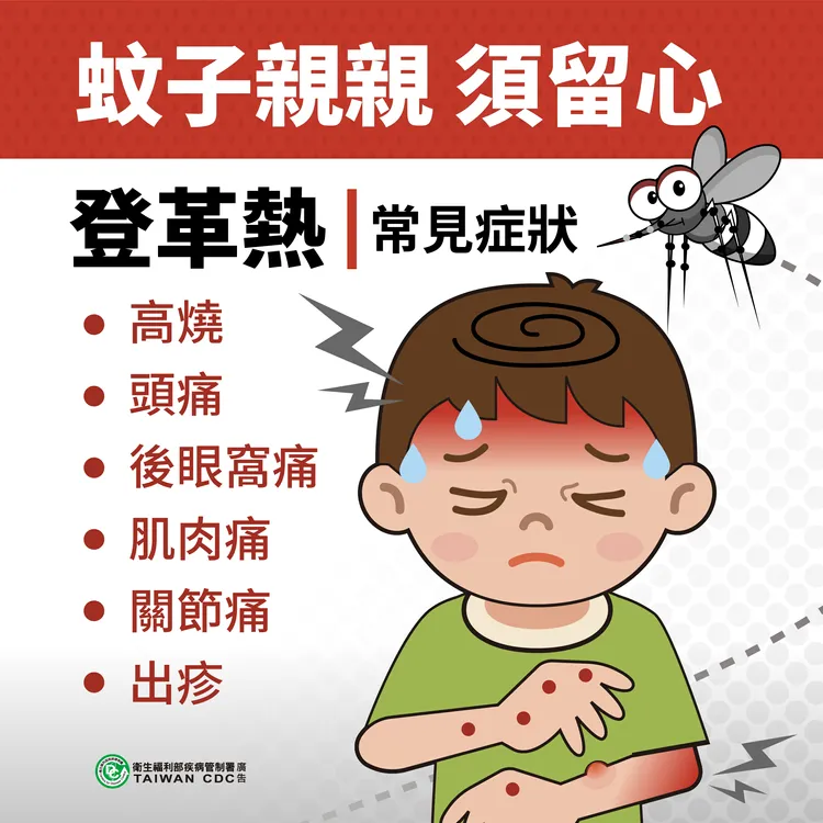 登革熱常見症狀。縣府提供