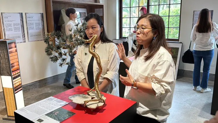 台日文化交流走進日常，遠州織物結合設計、影像雙展場同步登場。翻攝畫面