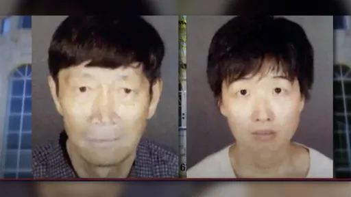 一胎化政策下長大「想生大家庭」！華裔夫妻靠代孕育21子　卻當凌虐對象
