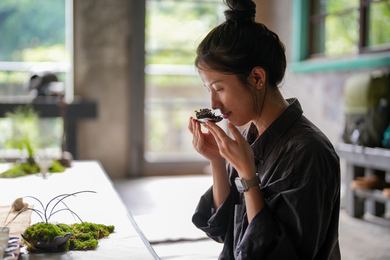 百年煤礦事務所化身美感秘境!三峽「無礦 Mineless」五感慢旅