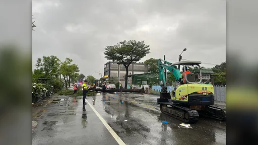驚險畫面曝光！高雄路樹突倒路中　小貨車急閃2人傷