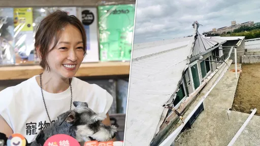 潘慧如是薔琵颱風受災戶！恆春房子屋頂被吹掀草皮也壞了　無奈訴心情