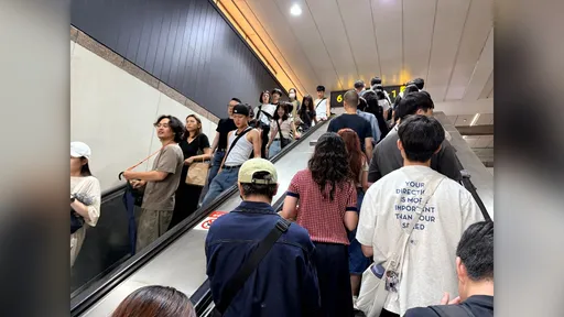 好心扶人惹官司！60歲退休教授付11萬　律師：別讓善良的人不敢伸手