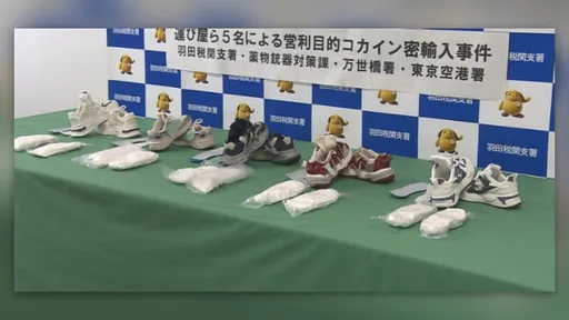 增高協墊藏玄機　馬來西亞旅客在羽田機場被捕