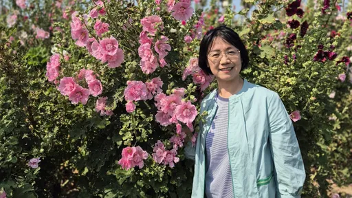翁曉玲「想見你」喊話沈伯洋　酸他忙選舉不開會就辭立委