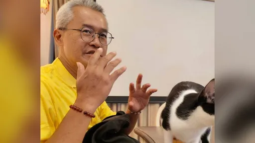 新北市長參選人主張「一夫2妻合法化」　談少子化：再這樣會很慘