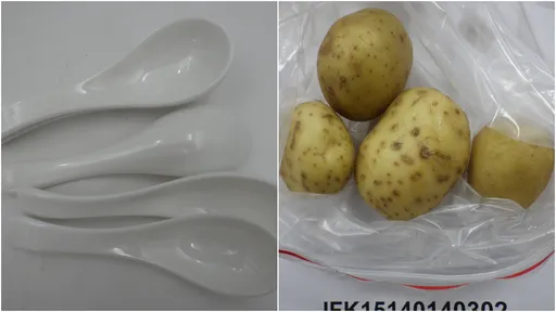 華元食品進口馬鈴薯違規　339公噸全數退運或銷毀