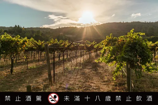 Kanpai Wines加州乾杯酒莊的火鳳凰系列酒款　重生於納帕野火中