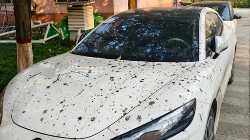 清理車頂鳥大便　車主感染肺炎