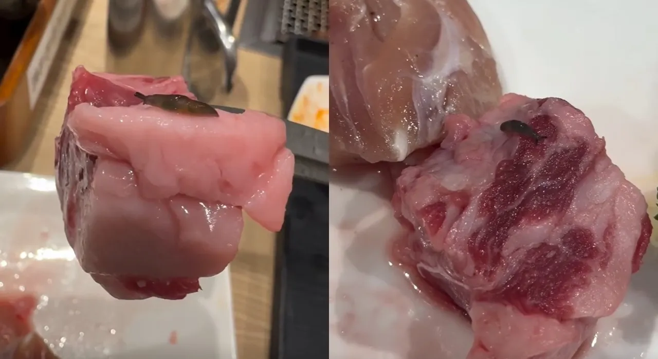 噁！北車吃燒肉驚見「活蛞蝓」　店員驚吐1句眾人傻眼