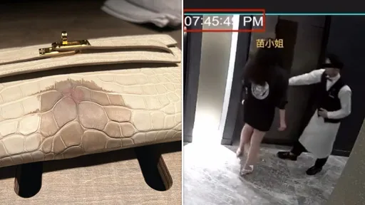 女CEO愛馬仕包「滴到紅酒」求償93萬　富錦樹公布影片反擊