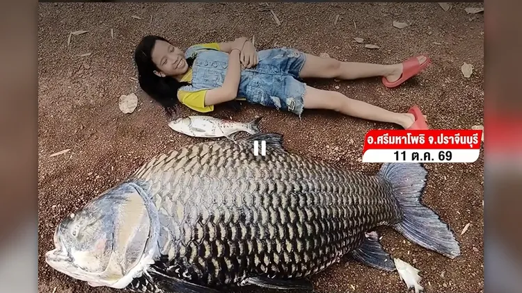 巨魚身軀比小女孩還要大。YouTube