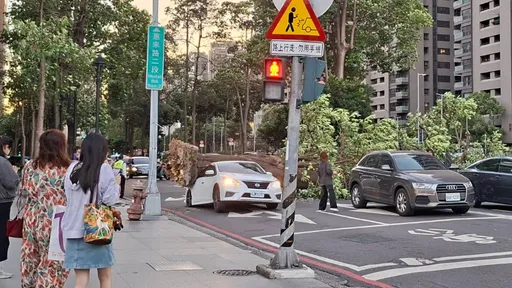 台中新光三越旁路樹倒塌波及2車　轎車後座慘遭樹幹壓困