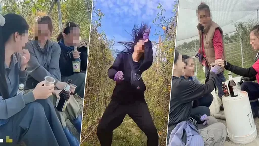 抖音跳舞、喝保力達全被看光！　泰籍人士逾期居留打工遭一網打盡