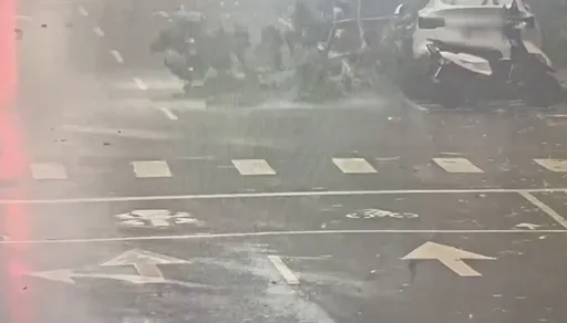 薔琵好兇！北市狂風吹倒路樹　倒塌瞬間畫面曝光