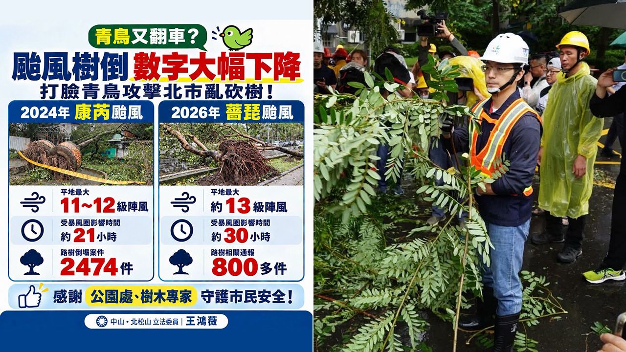北市颱風樹倒大減6成「她肯定蔣萬安」 網酸:砍光了沒樹可倒