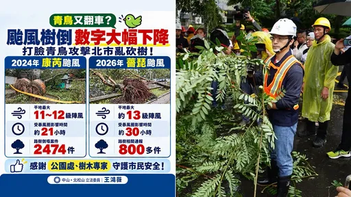 北市颱風樹倒大減6成「她肯定蔣萬安」　網酸：砍光了沒樹可倒
