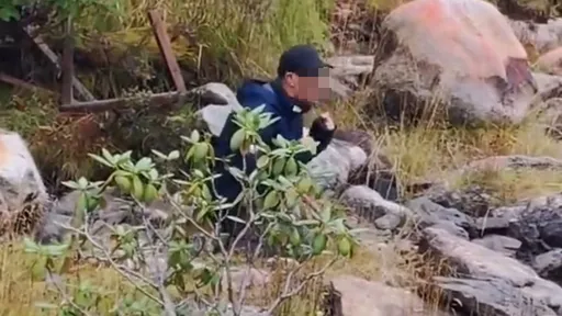 老婆旅遊狂嫌老公「照片沒拍好」　竟險鬧出人命