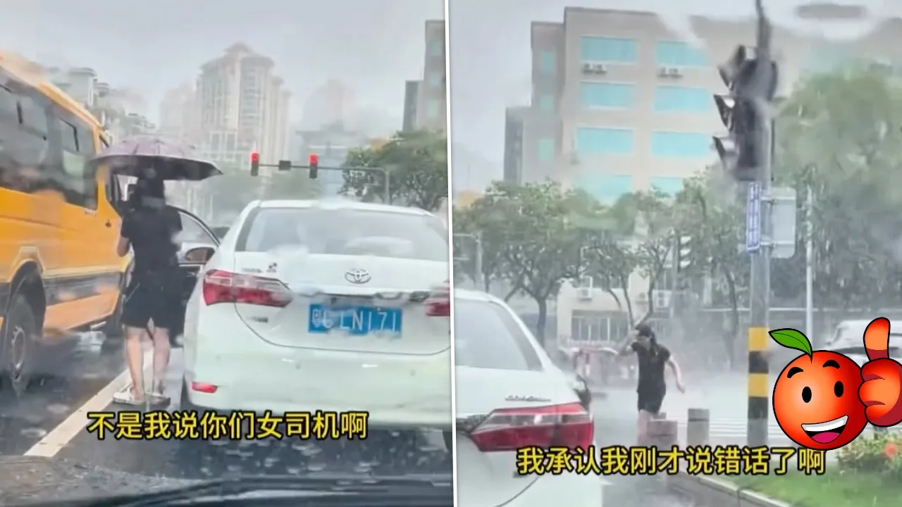 以為三寶！女駕駛等紅燈突下車　下秒暖舉逼哭網