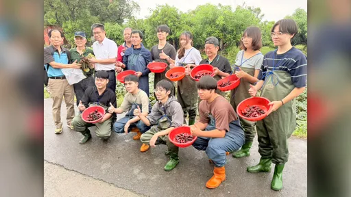 菱角生吃像水梨！官田青農帶成大學生下水　體驗友善農法