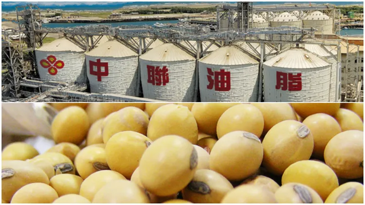 中聯油脂的大豆沙拉油原料致癌物苯駢芘含量超標。翻攝中聯油脂官網