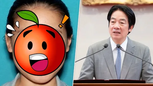 替中國監視賴清德兒子　美華裔女房仲出境前落網