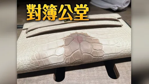 93萬愛馬仕包被毀　女CEO刪光臉書！原因曝光「已提告」
