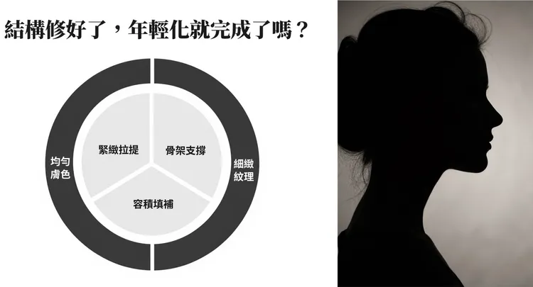 ▲ 除了結構支撐，膚質亮感也是決定膚質的關鍵要素