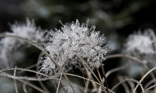 霜降吹不熄賺錢熱情　這群人年底前荷包滿到笑出來
