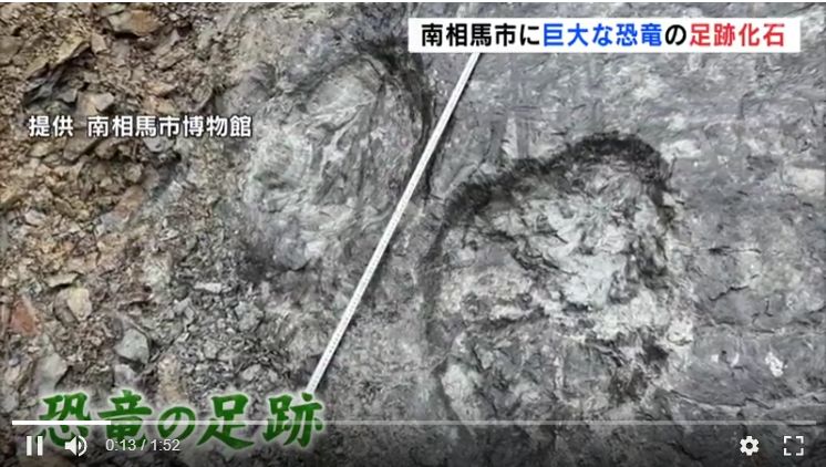 開挖5天就中獎!福島挖出1.6億年恐龍巨大腳印 震撼研究人員