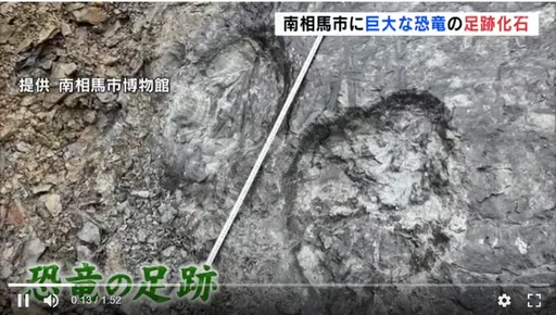 開挖5天就中獎！福島挖出1.6億年恐龍巨大腳印　震撼研究人員