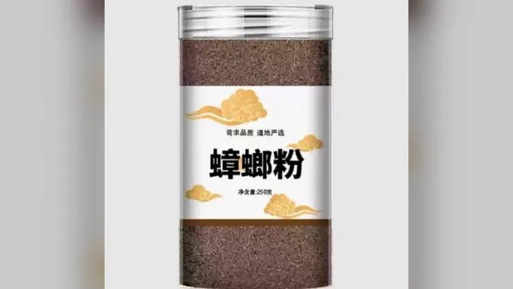 蟑螂粉成為另類高蛋白產品。翻攝自淘寶網站
