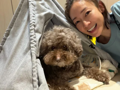 回不來！颱風天潘慧如滯留濟州島　明繞一大圈奔回台北見毛孩