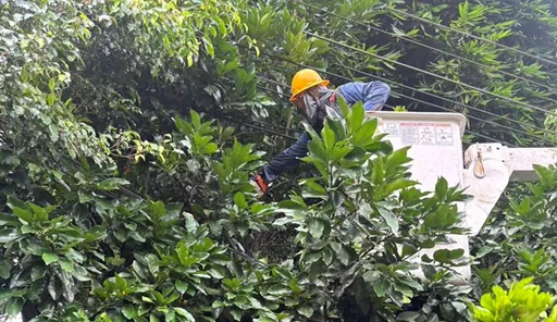 薔琵颱風來勢洶洶！台電基隆區處143人、135輛車全面備戰