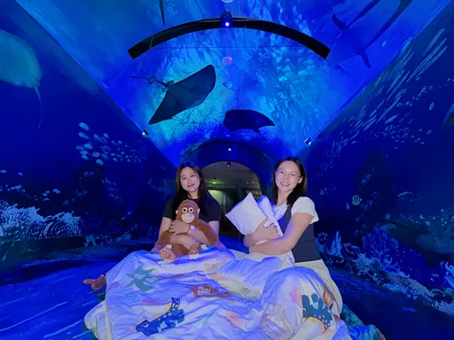 睡進15米海底隧道！十三行博物館夜宿升級　30組親子免費住一晚